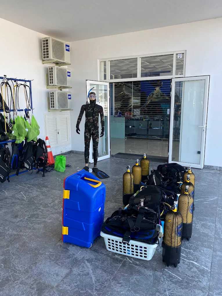 Diving Week