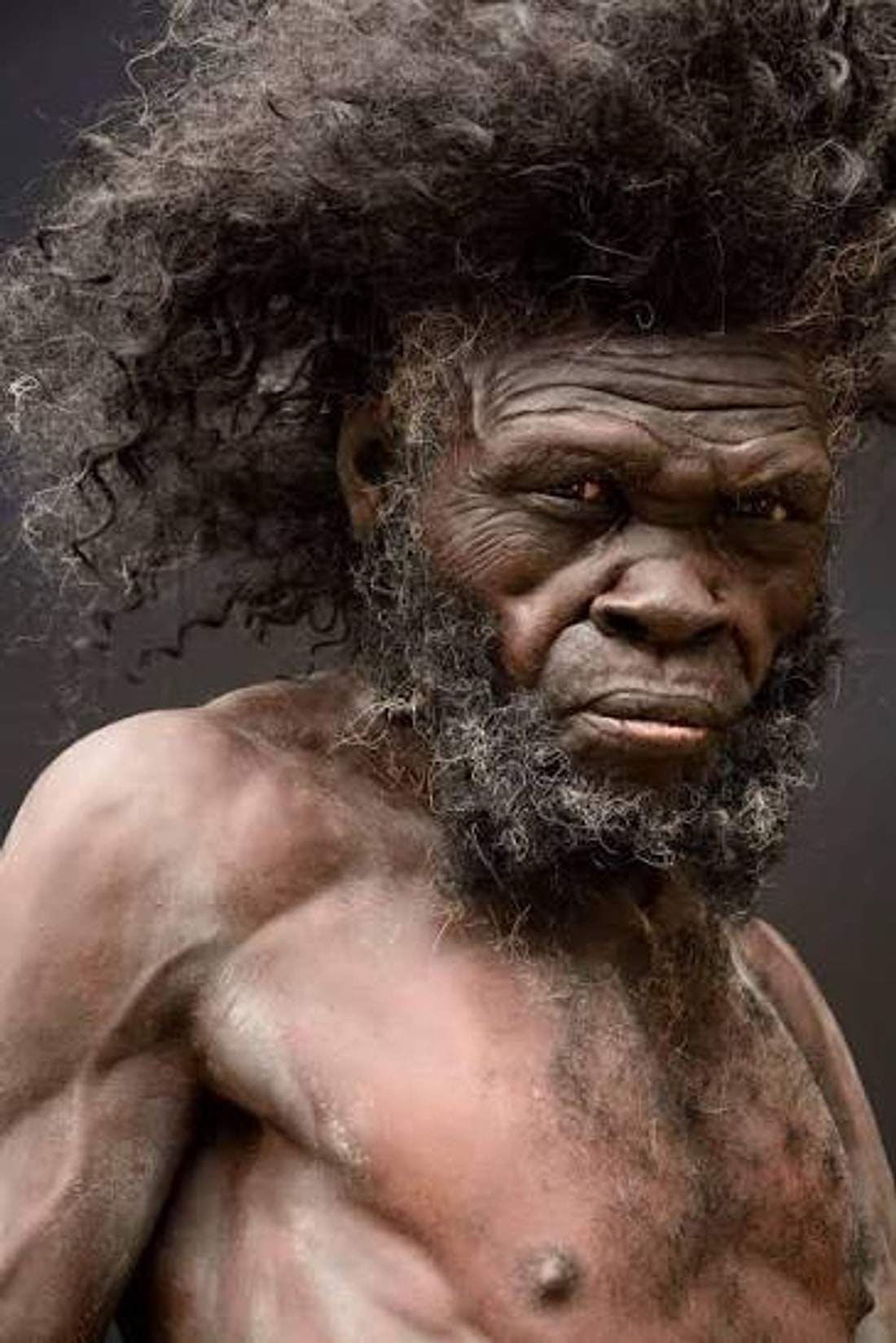 Reconstruction of an early Homo sapiens face